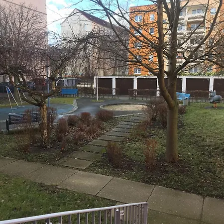 The Urban Oasis *